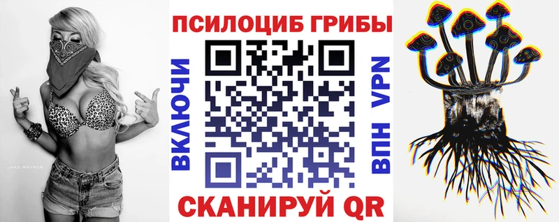 Галлюциногенные грибы прущие грибы  Фролово 