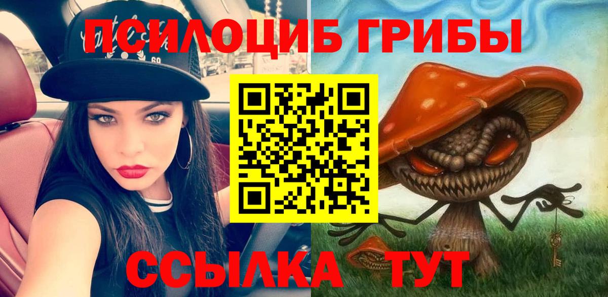 Галлюциногенные грибы Psilocybine cubensis Фролово